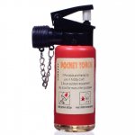 Fire Extinguisher Butane Lighter New