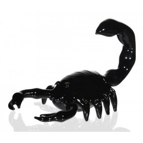 The Dark Scorpion - 6